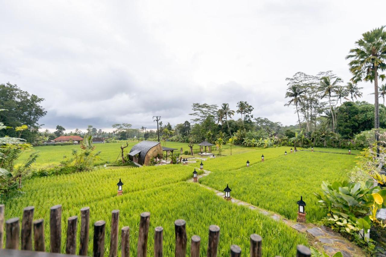Anumana Village Ubud Kültér fotó
