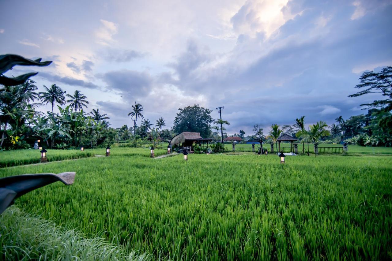 Anumana Village Ubud Kültér fotó