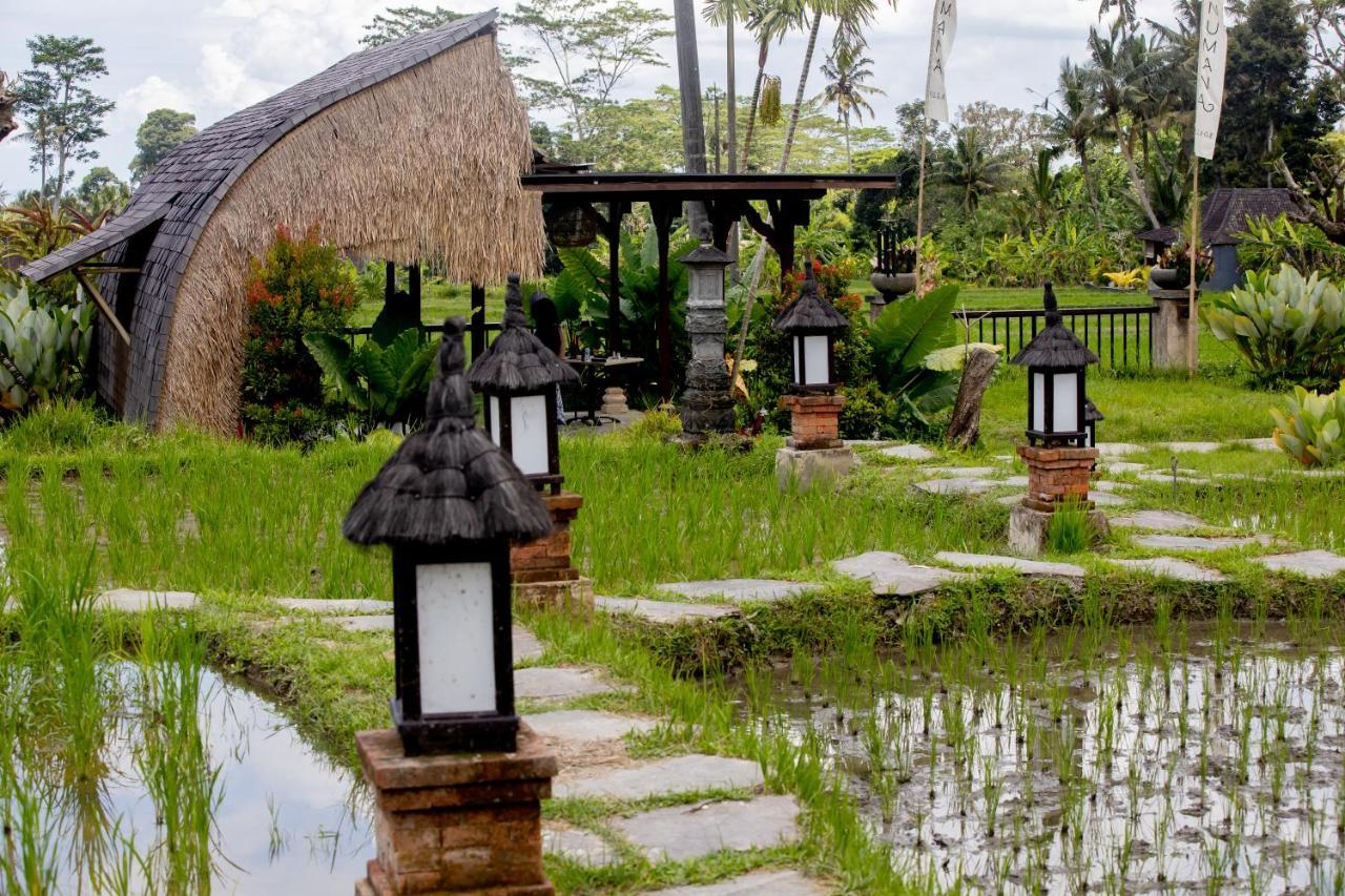Anumana Village Ubud Kültér fotó